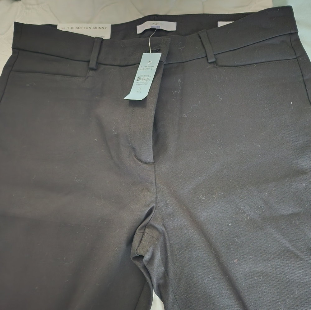 LOFT Sutton Skinny Pants